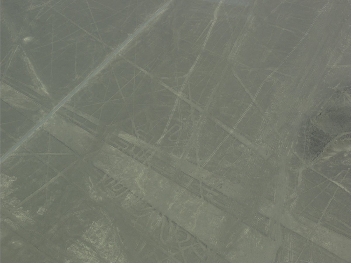 Nasca Lines26